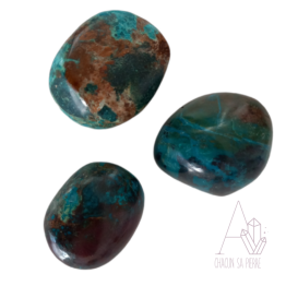 Chrysocolle